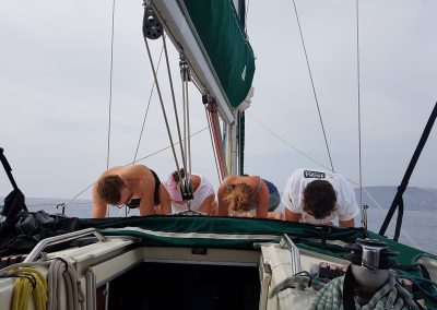 Planking on Board
