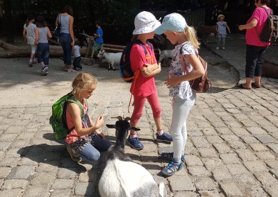 Ausflug in den Zoo