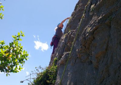 Julia und der Baum