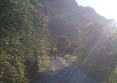 Auf dem Heimweg